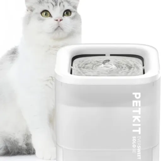 Test PETKIT CYBERTAIL : une fontaine à eau pratique, mais avec quelques angles morts