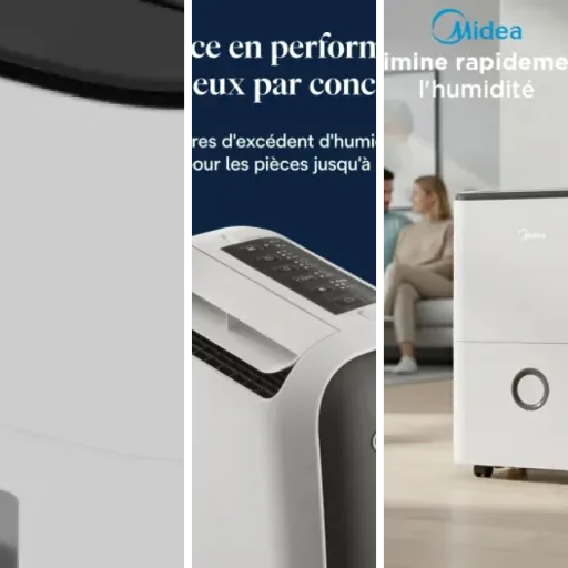 Top Déshumidificateurs