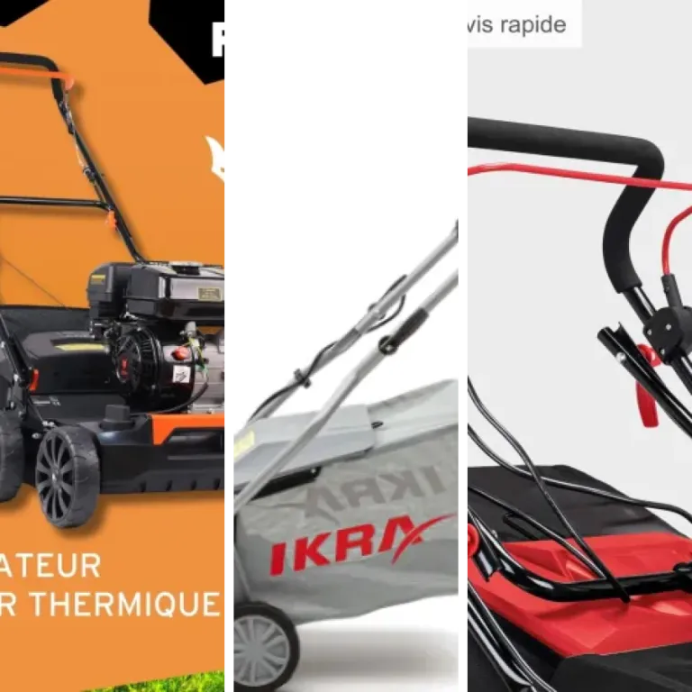Guide d'achat : les 5 meilleurs scarificateurs (2026)