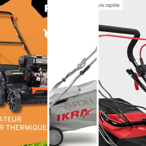 Comment choisir les meilleurs scarificateurs pour une pelouse saine et durable